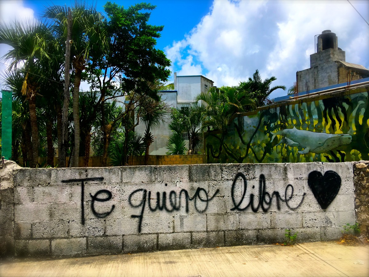 I Love You Free&nbsp;💙